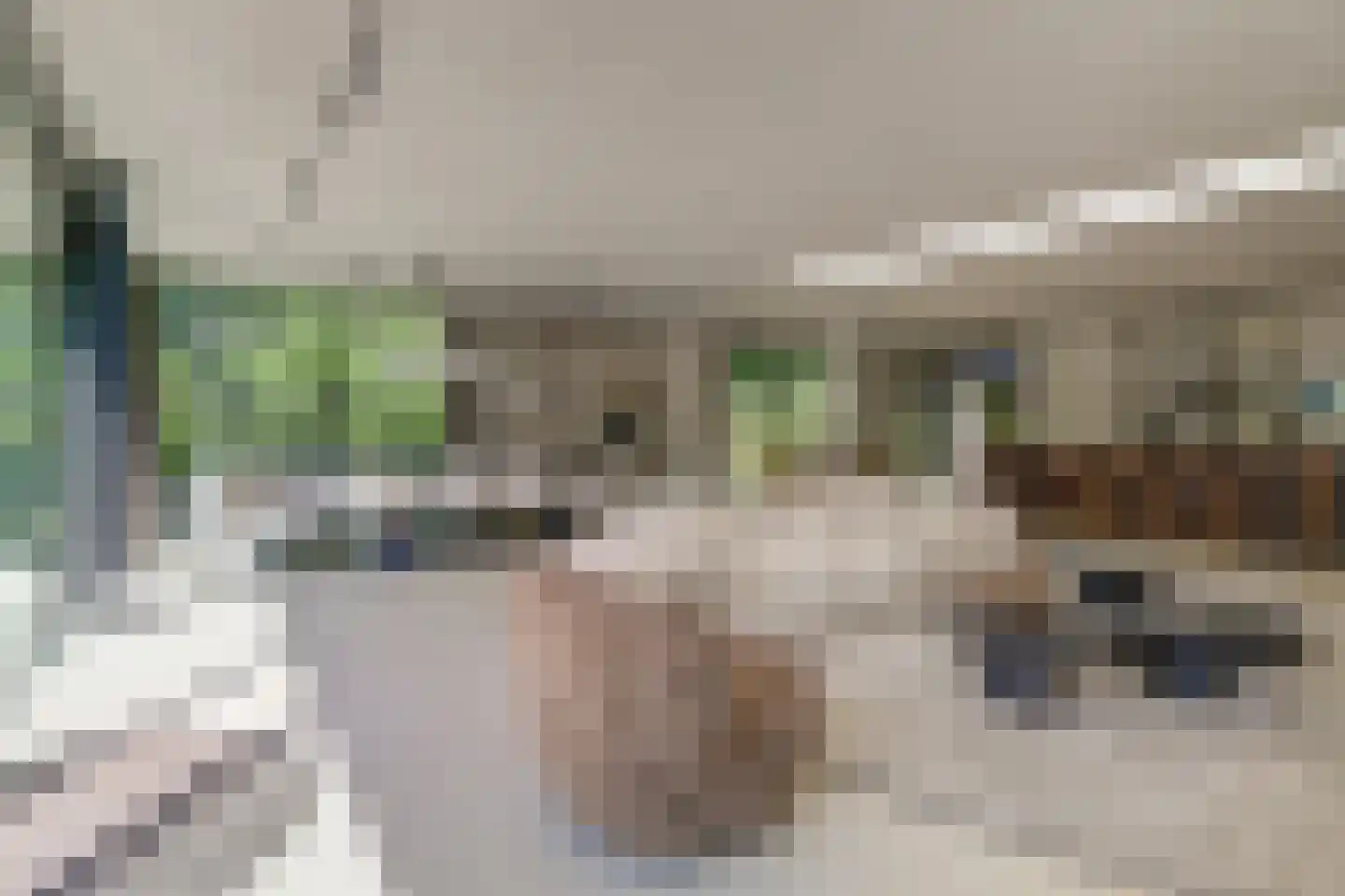 Steenkraan 14 Nunspeet thumbnail 13