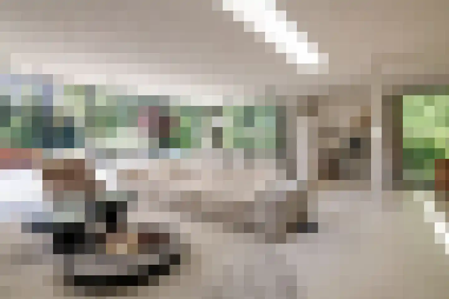 Steenkraan 14 Nunspeet thumbnail 15