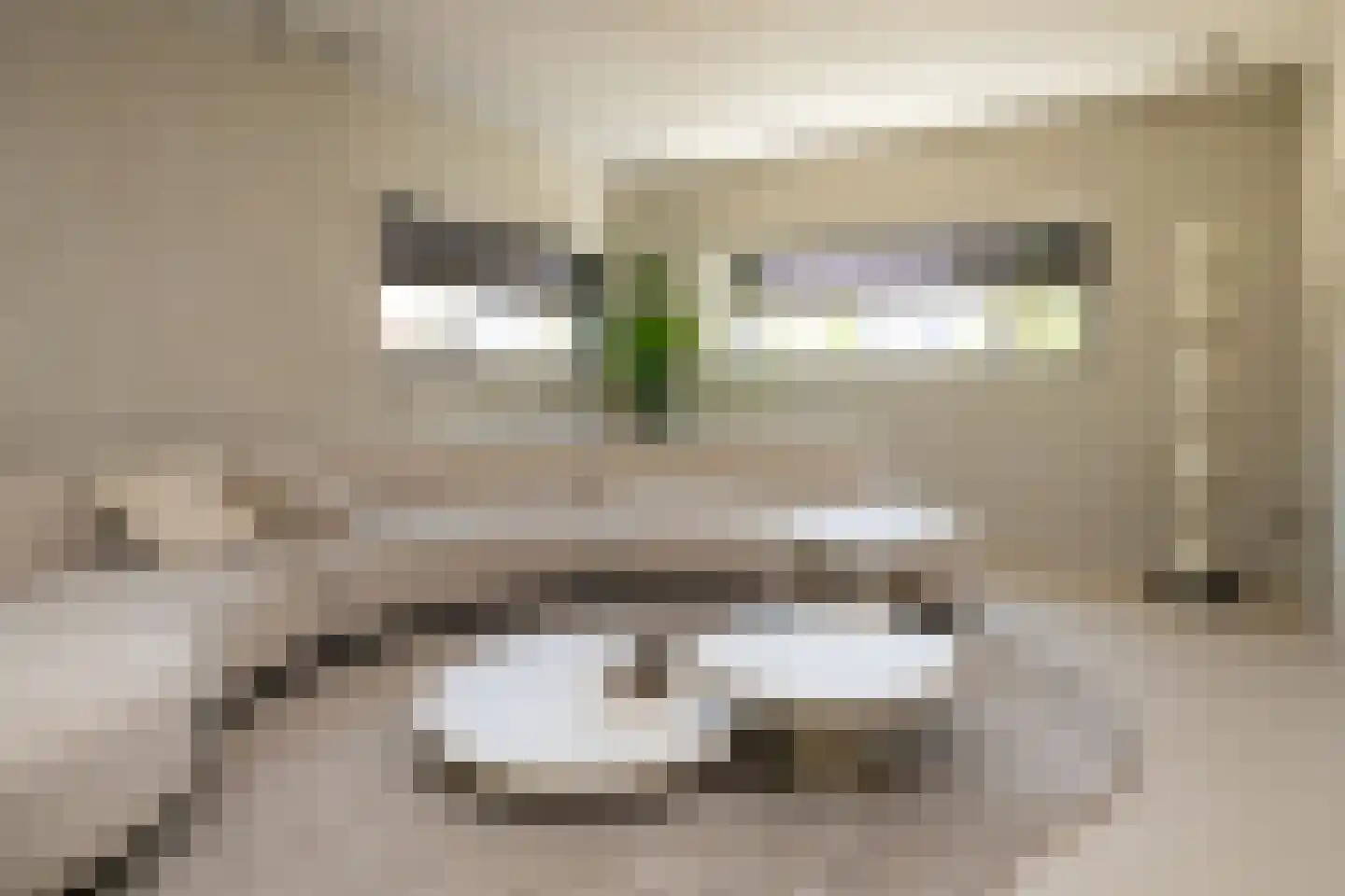 Steenkraan 14 Nunspeet thumbnail 26