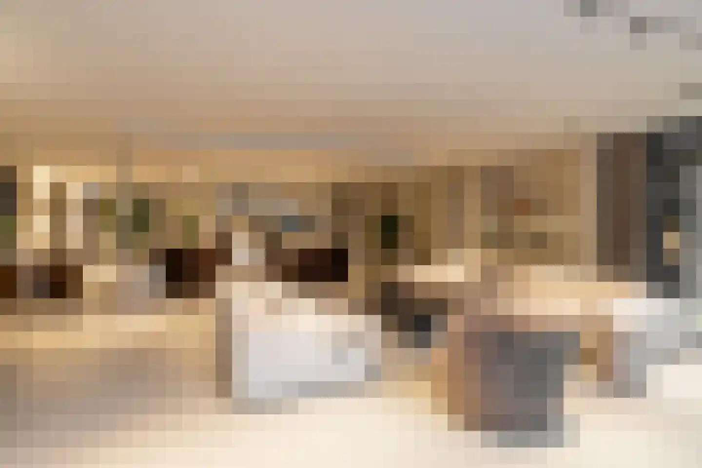 Steenkraan 14 Nunspeet thumbnail 30