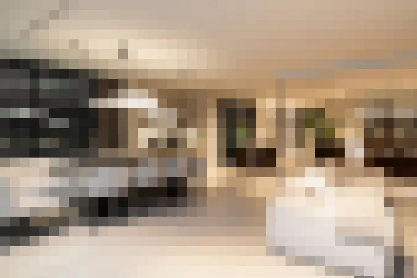 Steenkraan 14 Nunspeet thumbnail 31