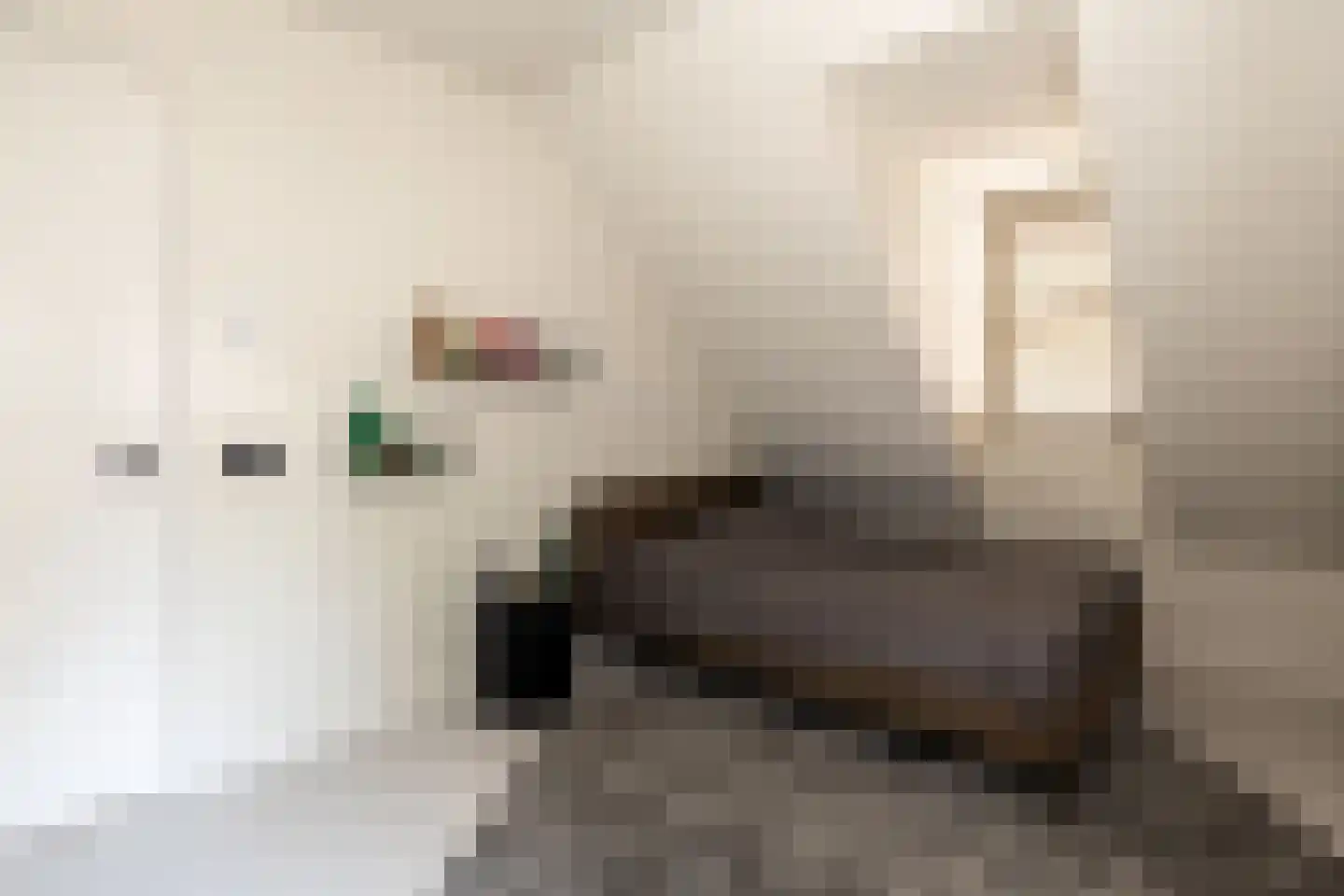 Steenkraan 14 Nunspeet thumbnail 44