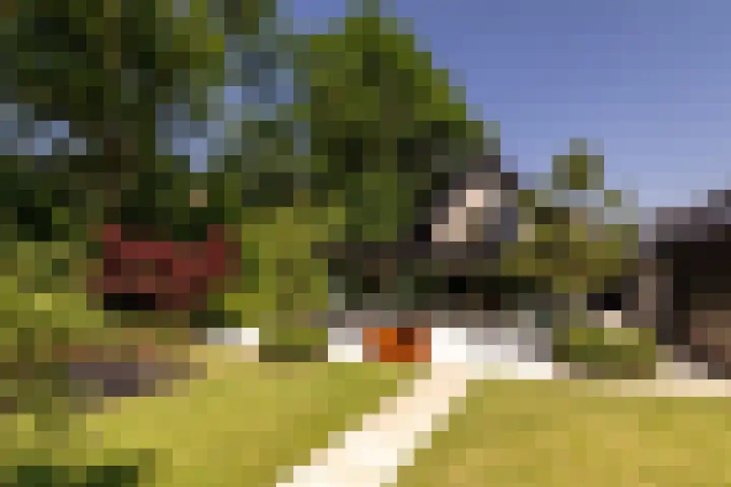 Steenkraan 14 Nunspeet thumbnail 5