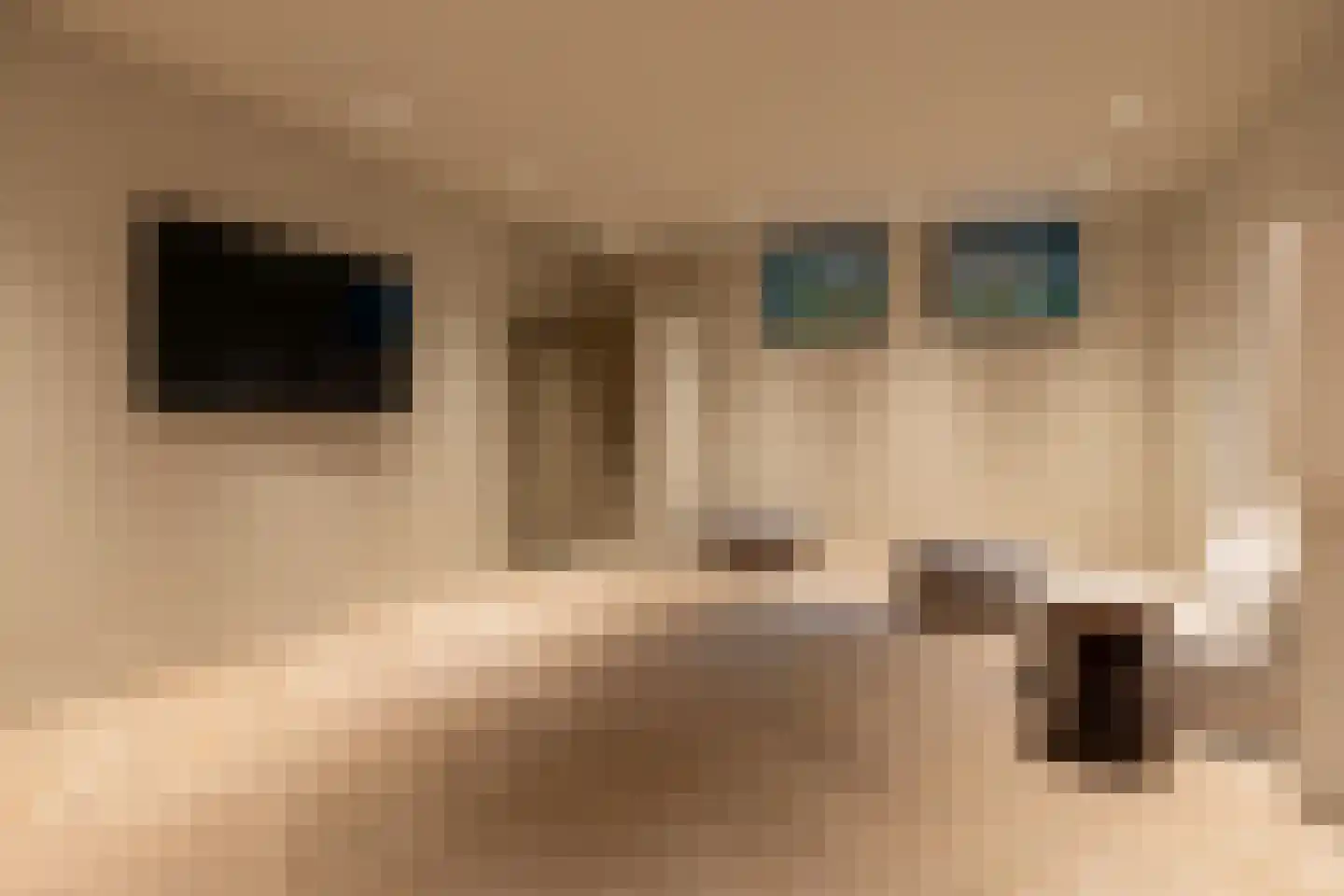 Steenkraan 14 Nunspeet thumbnail 52