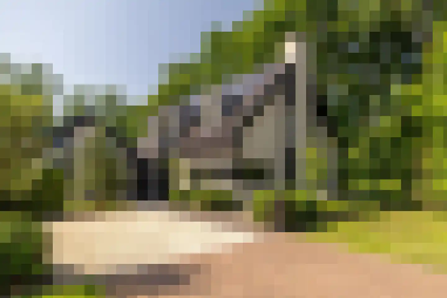 Steenkraan 14 Nunspeet thumbnail 65