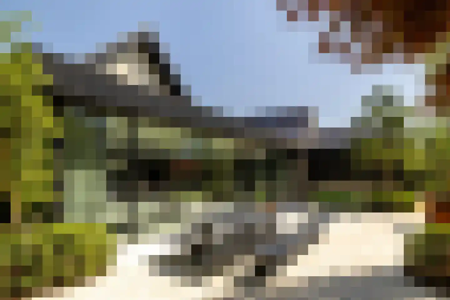Steenkraan 14 Nunspeet thumbnail 68