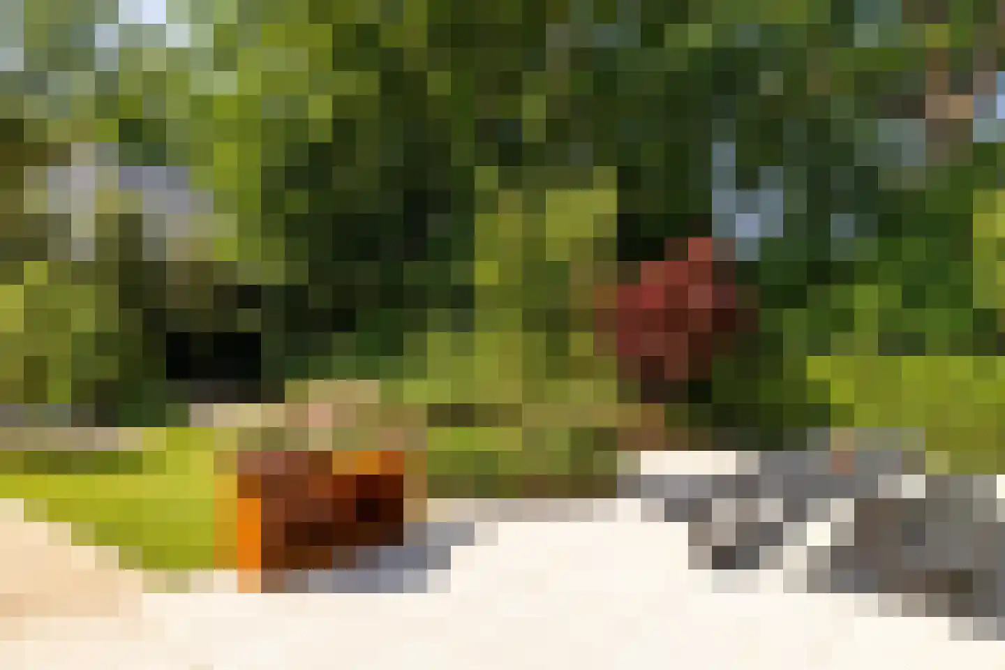 Steenkraan 14 Nunspeet thumbnail 7