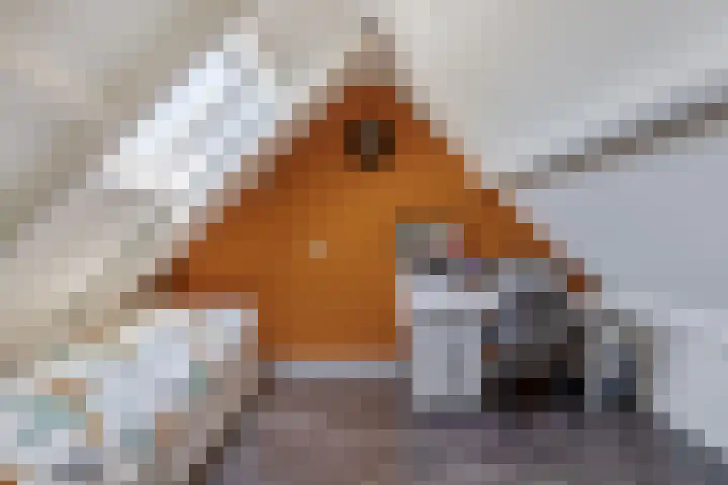 Steenkreek 17 Ouddorp thumbnail 28