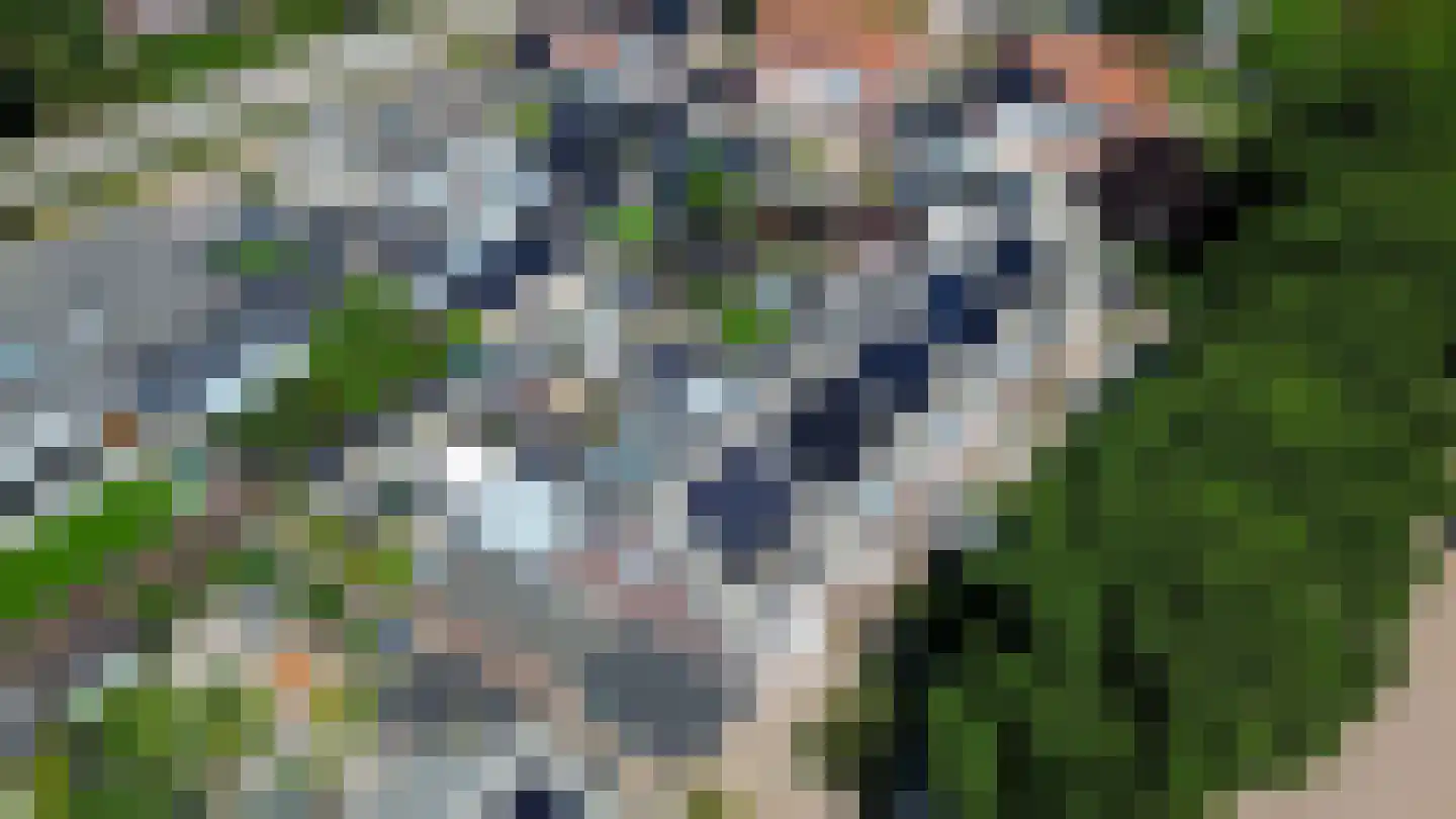 Steenkreek 17 Ouddorp thumbnail 43