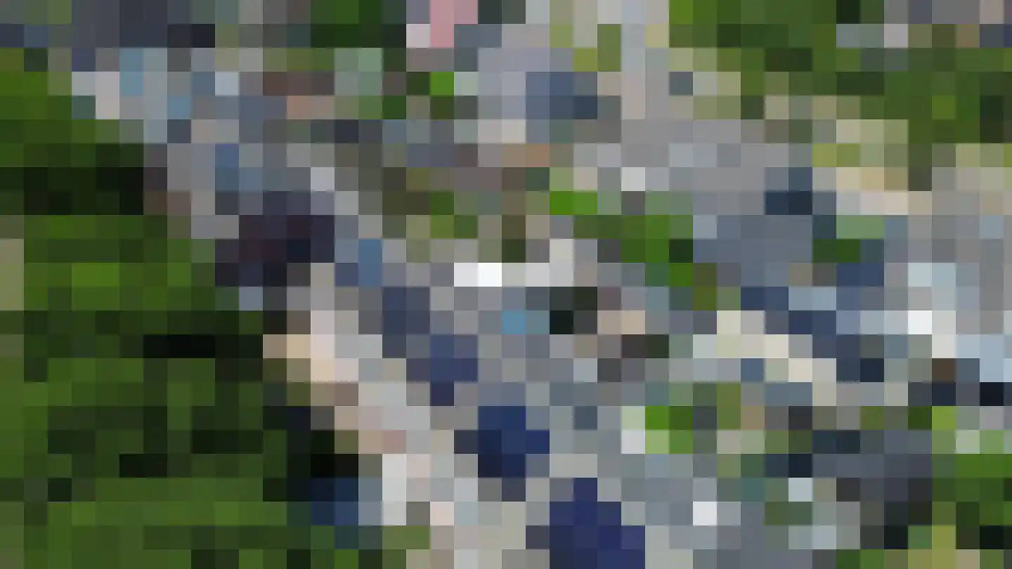 Steenkreek 17 Ouddorp thumbnail 47