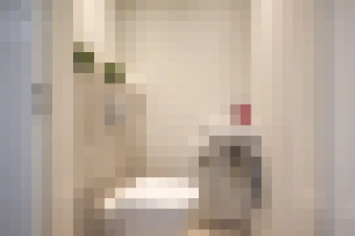 Steenkreek 20 Ouddorp thumbnail 12