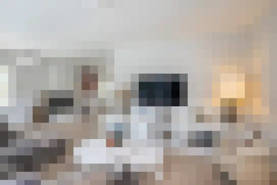 Steenkreek 20 Ouddorp thumbnail 13
