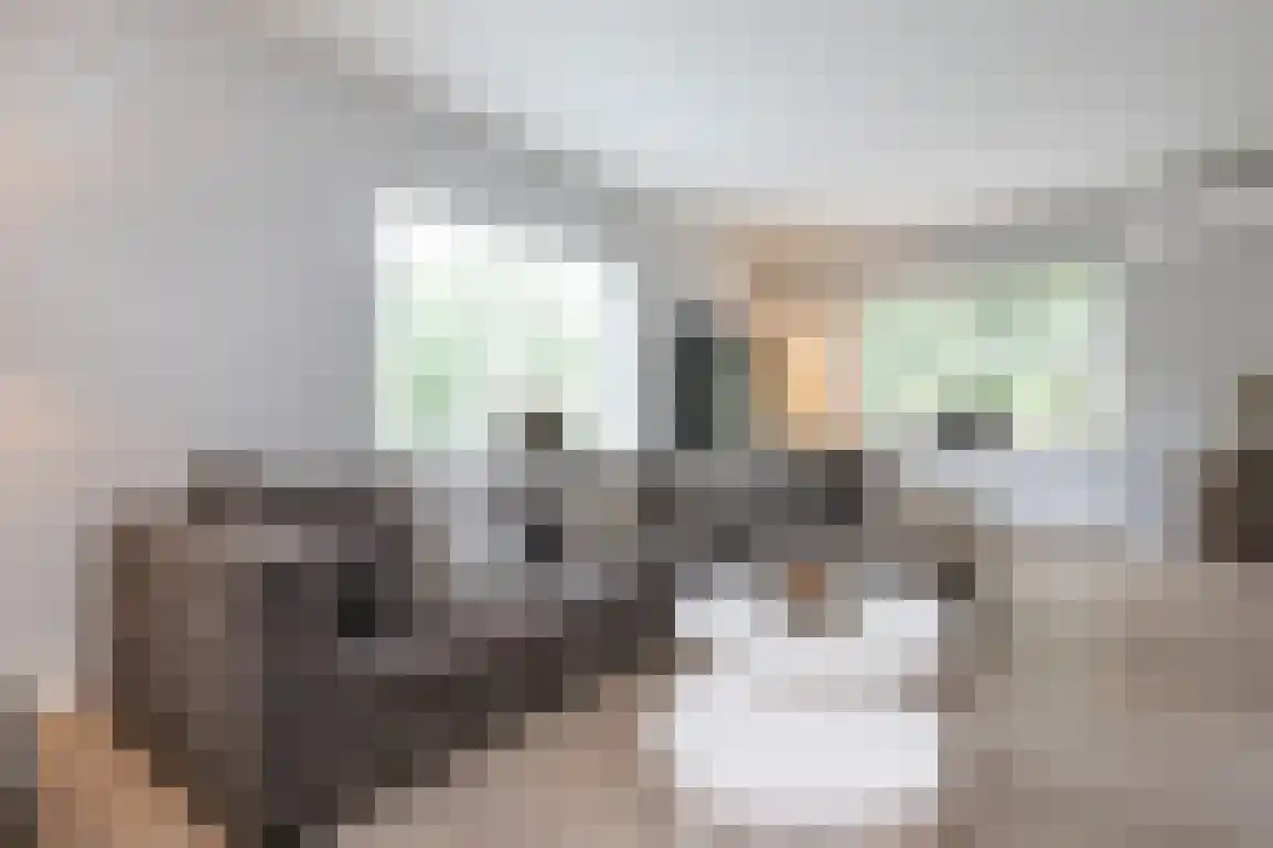 Steenkreek 20 Ouddorp thumbnail 14