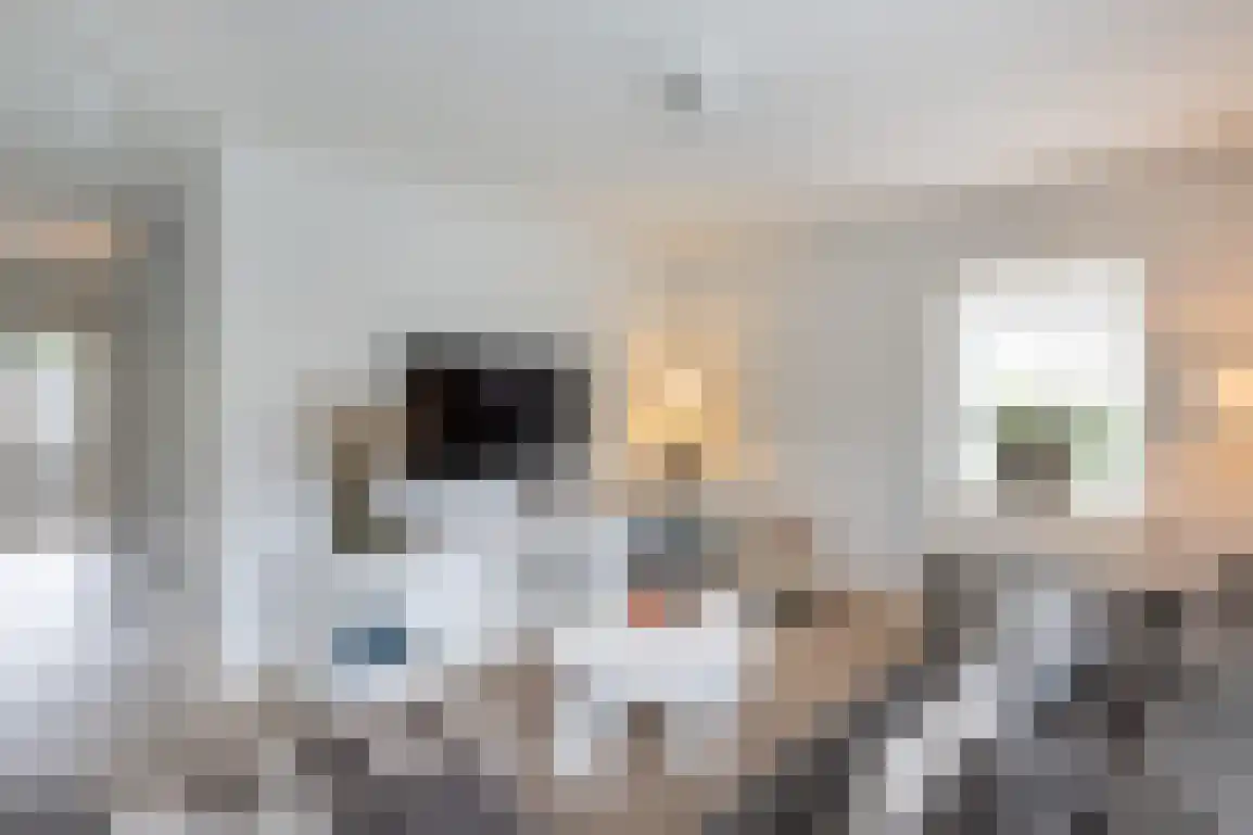 Steenkreek 20 Ouddorp thumbnail 15