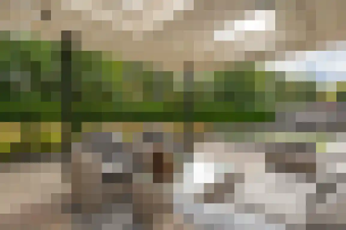 Steenkreek 20 Ouddorp thumbnail 52