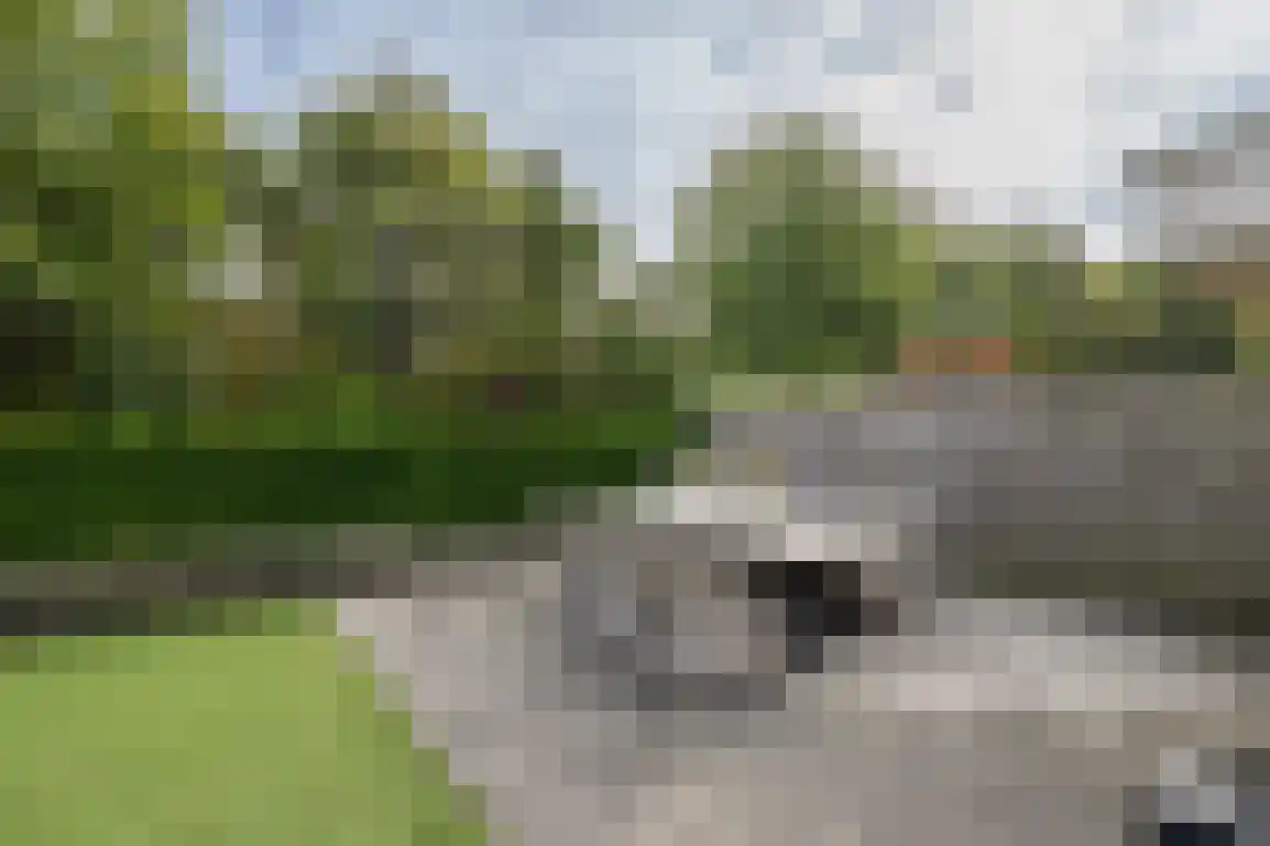 Steenkreek 20 Ouddorp thumbnail 55