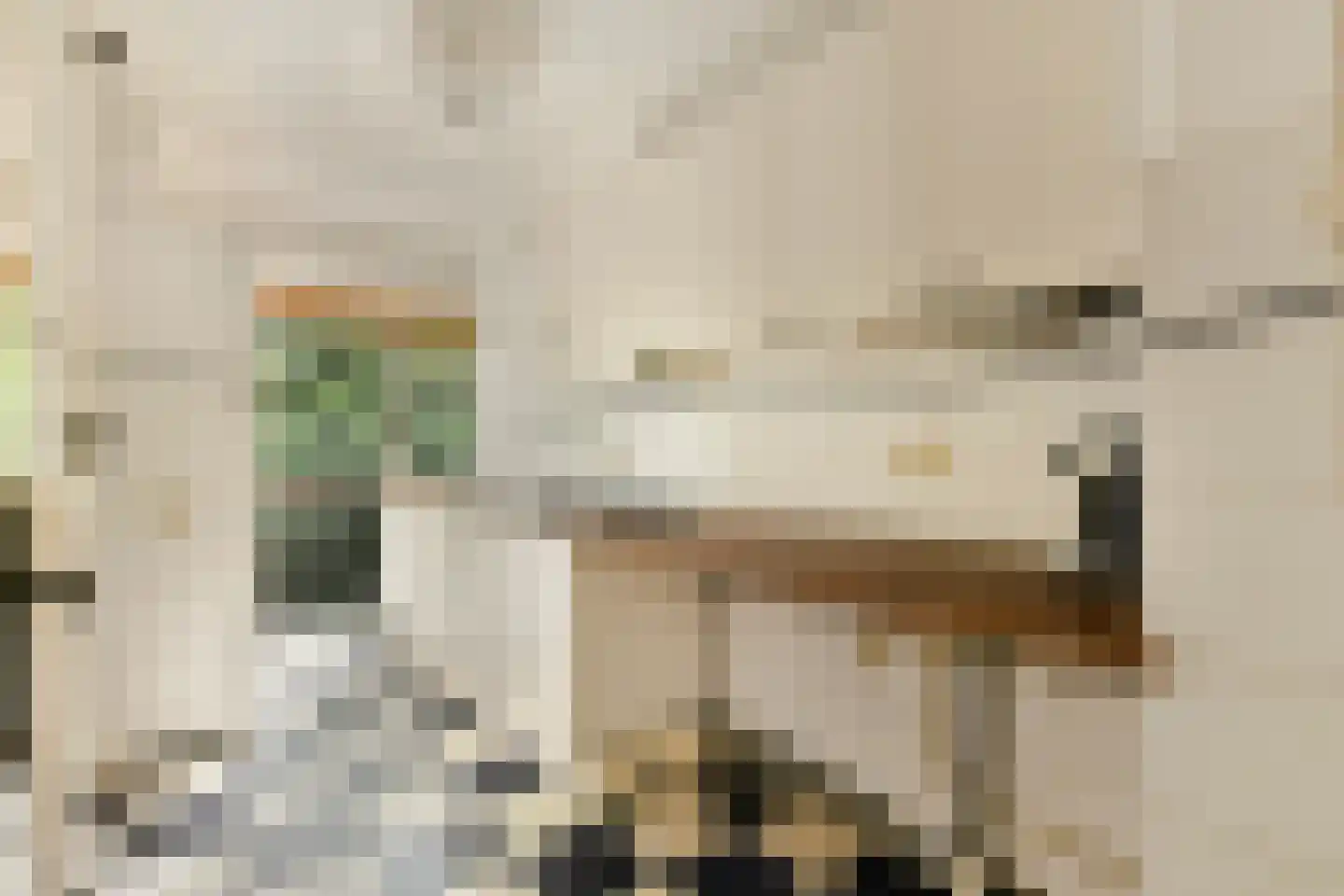 Steenlaan 116 Rijswijk thumbnail 11