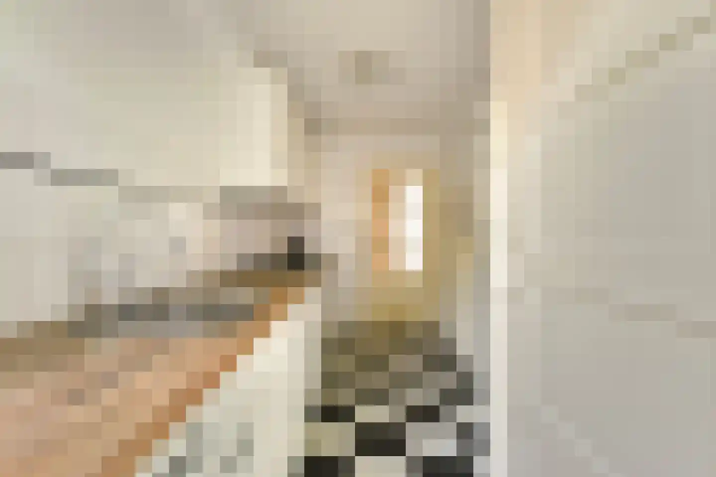 Steenlaan 116 Rijswijk thumbnail 12