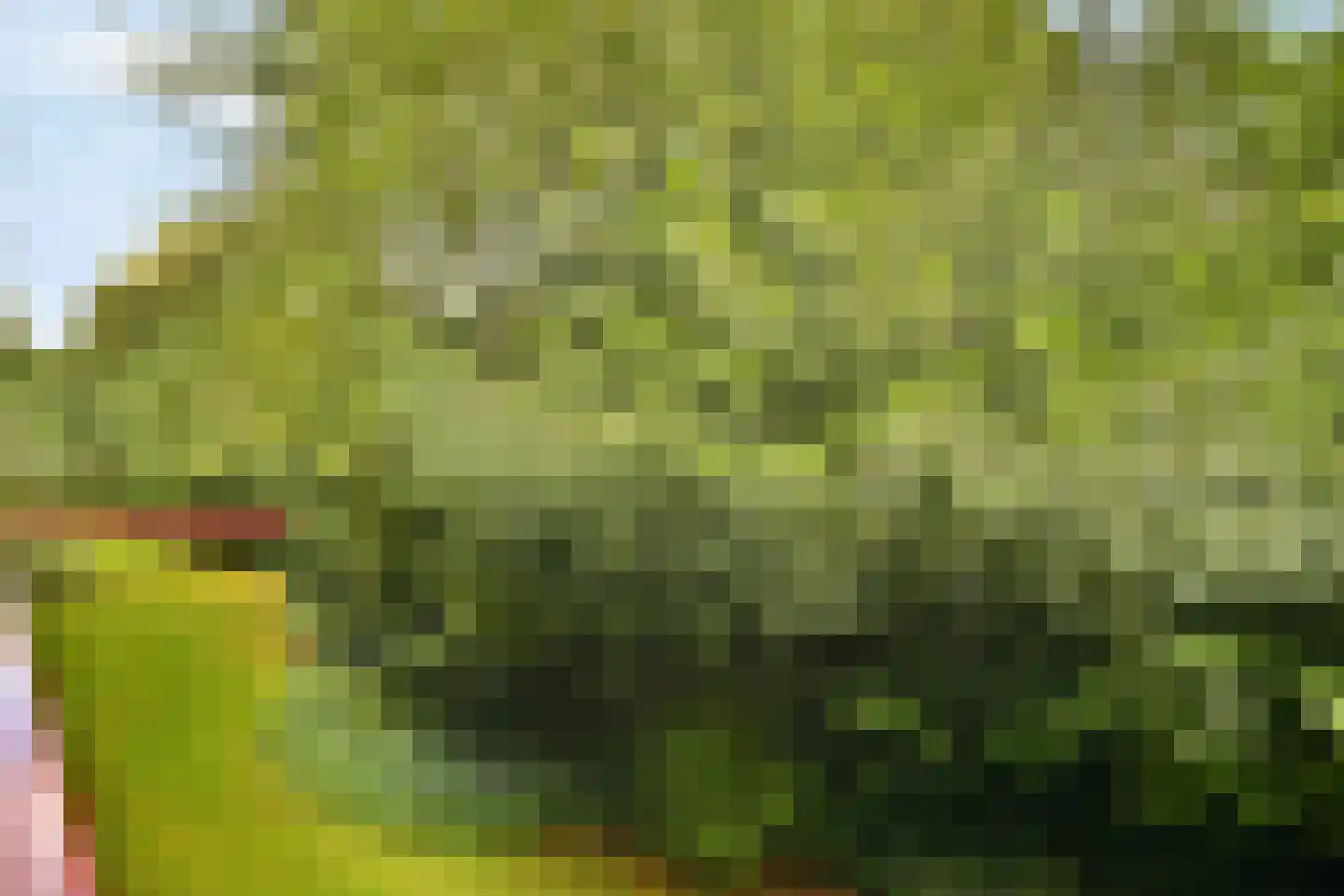 Steenlaan 116 Rijswijk thumbnail 14