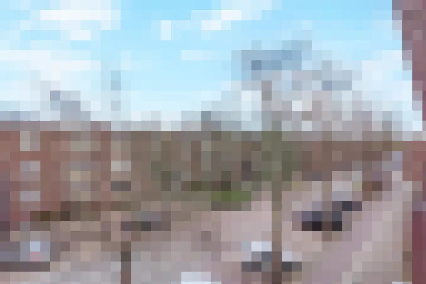 Steenlaan 119 Rijswijk thumbnail 19