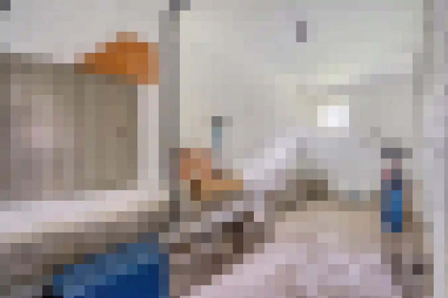Steenlaan 119 Rijswijk thumbnail 24