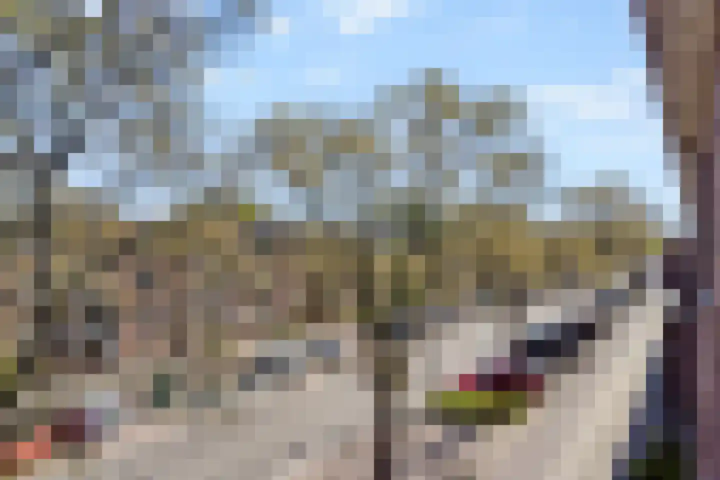 Steenlaan 133 Rijswijk thumbnail 15