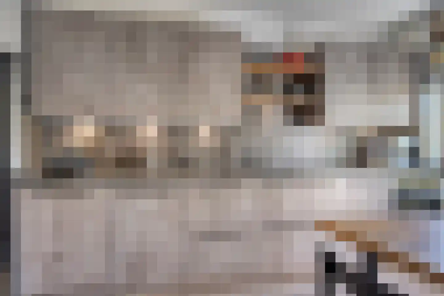 Steenlaan 133 Rijswijk thumbnail 5