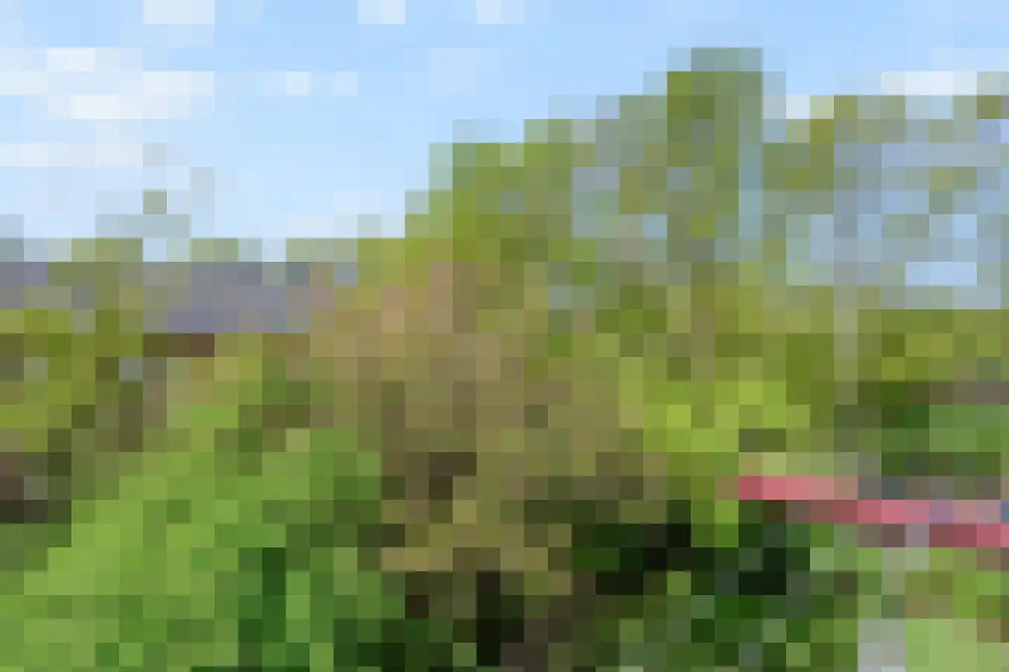 Steenlaan 133 Rijswijk thumbnail 9