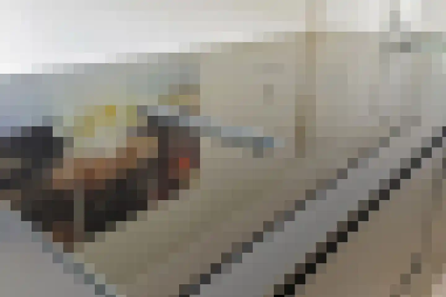 Steenlaan 141 Rijswijk thumbnail 12