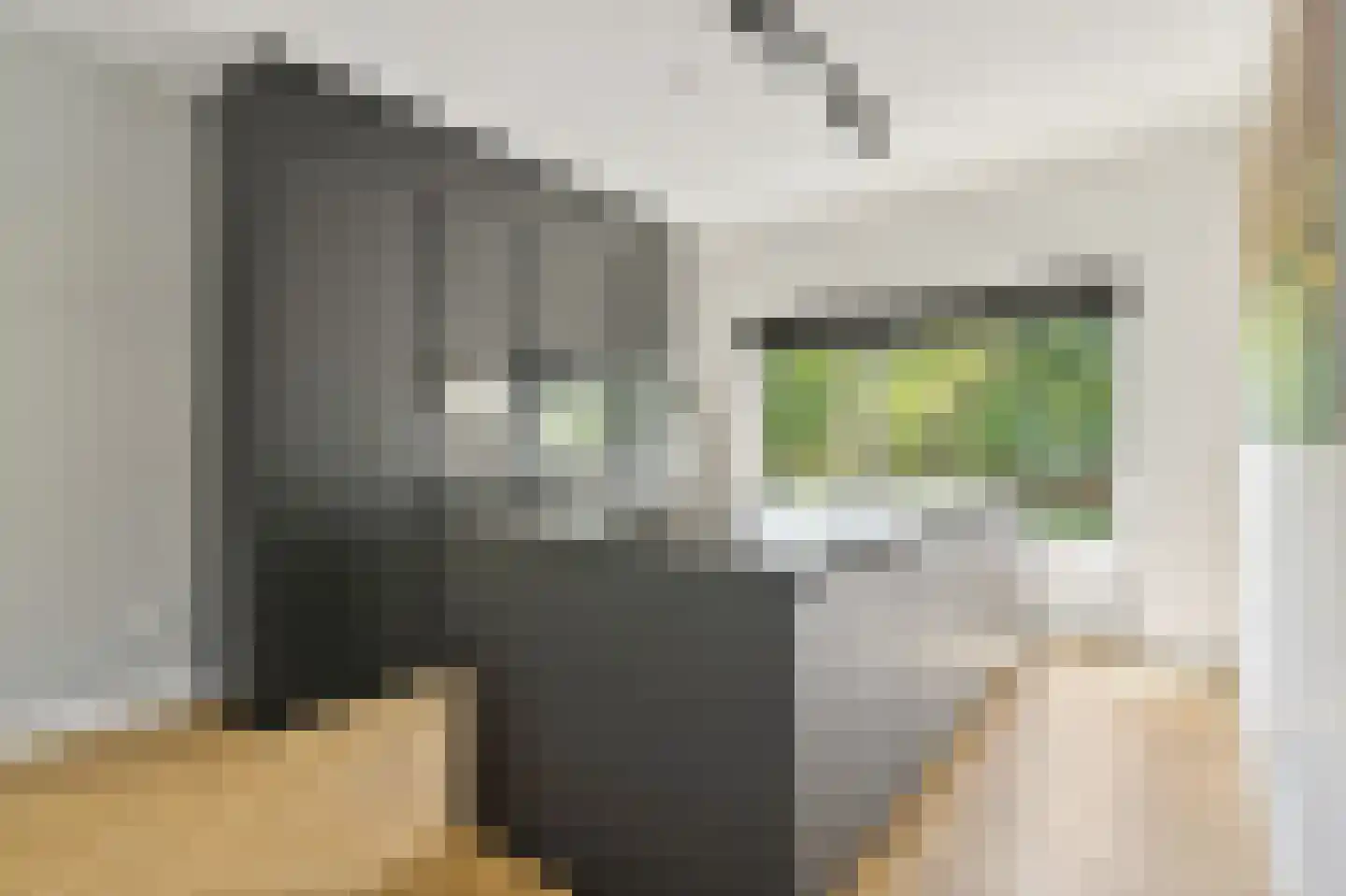 Steenlaan 141 Rijswijk thumbnail 13