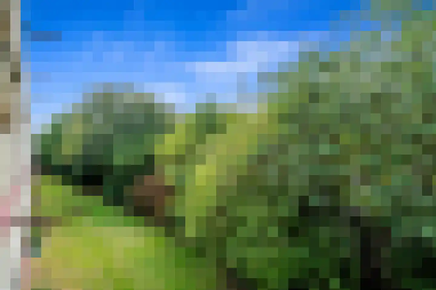 Steenlaan 141 Rijswijk thumbnail 16