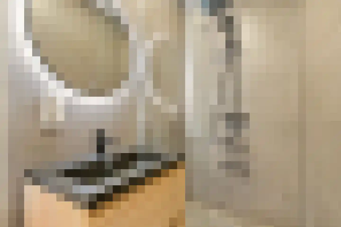 Steenlaan 141 Rijswijk thumbnail 22