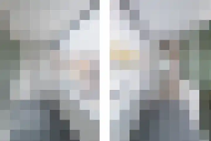 Steenlaan 5 Rijswijk thumbnail 17