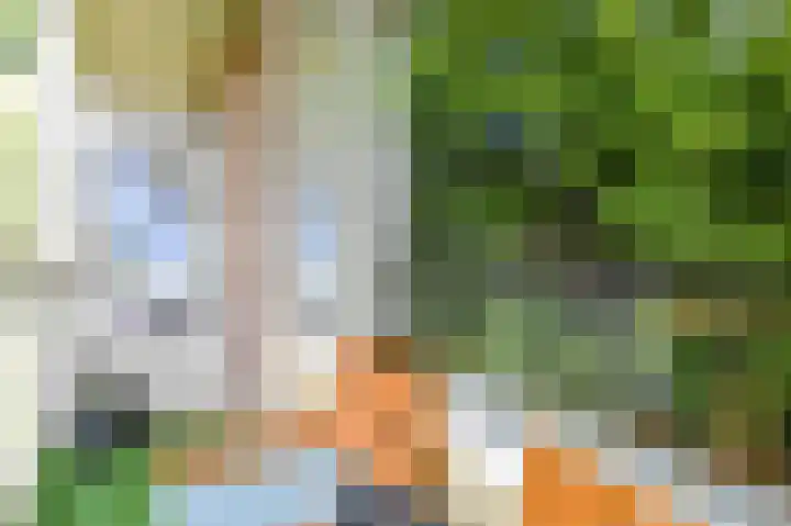 Steenlaan 87 Rijswijk thumbnail 13