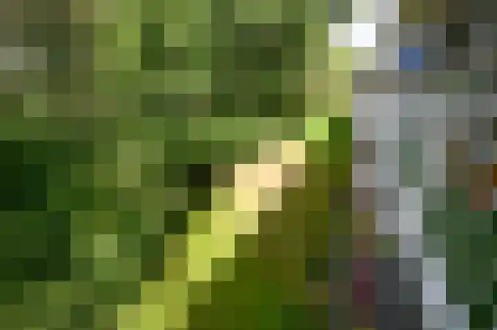 Steenlaan 87 Rijswijk thumbnail 14