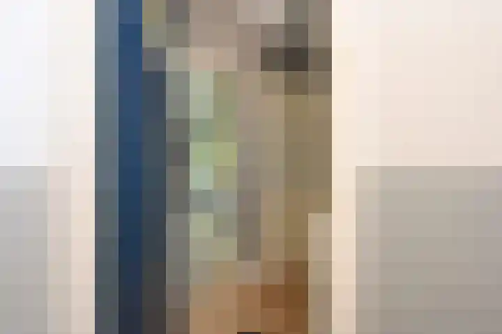 Steenlaan 87 Rijswijk thumbnail 4