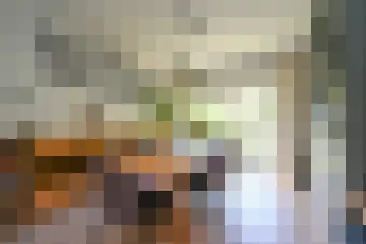 Steenlaan 87 Rijswijk thumbnail 9