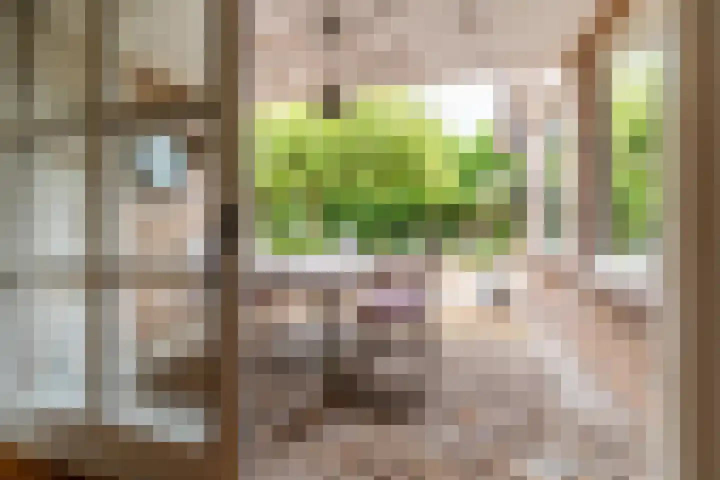 Steenland 27 Ulvenhout thumbnail 15