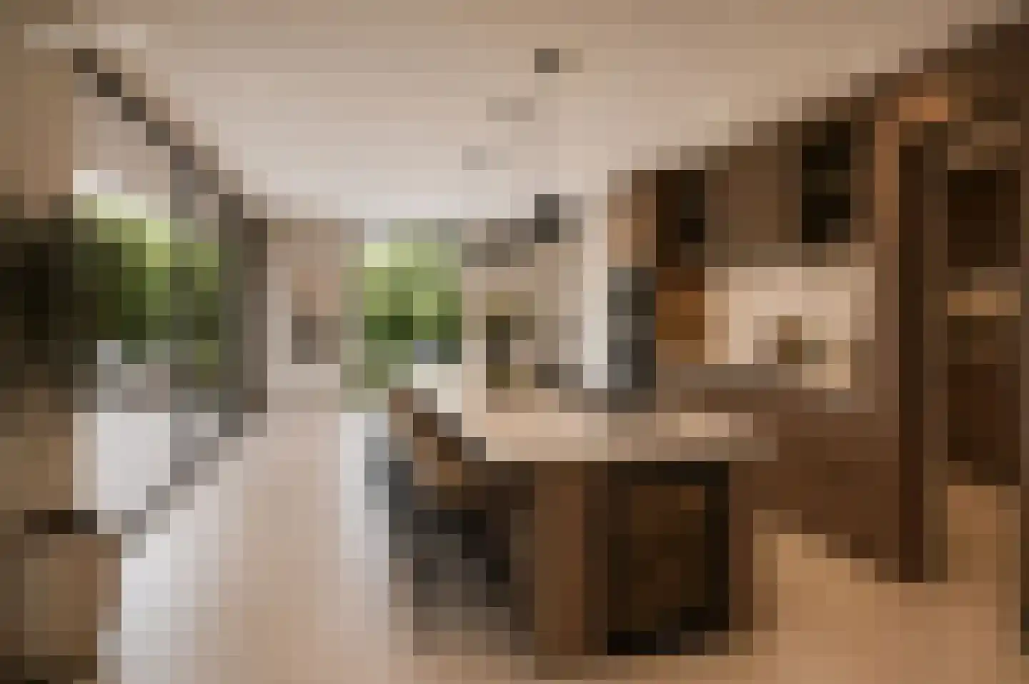 Steenland 27 Ulvenhout thumbnail 20