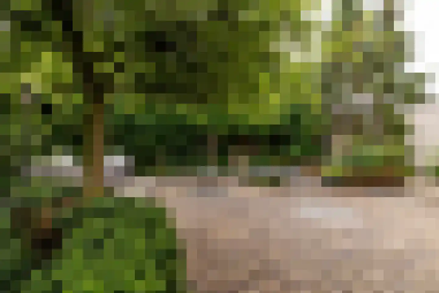 Steenland 27 Ulvenhout thumbnail 4