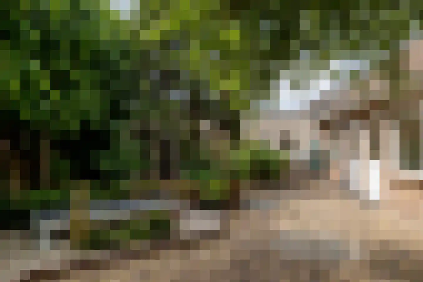 Steenland 27 Ulvenhout thumbnail 43