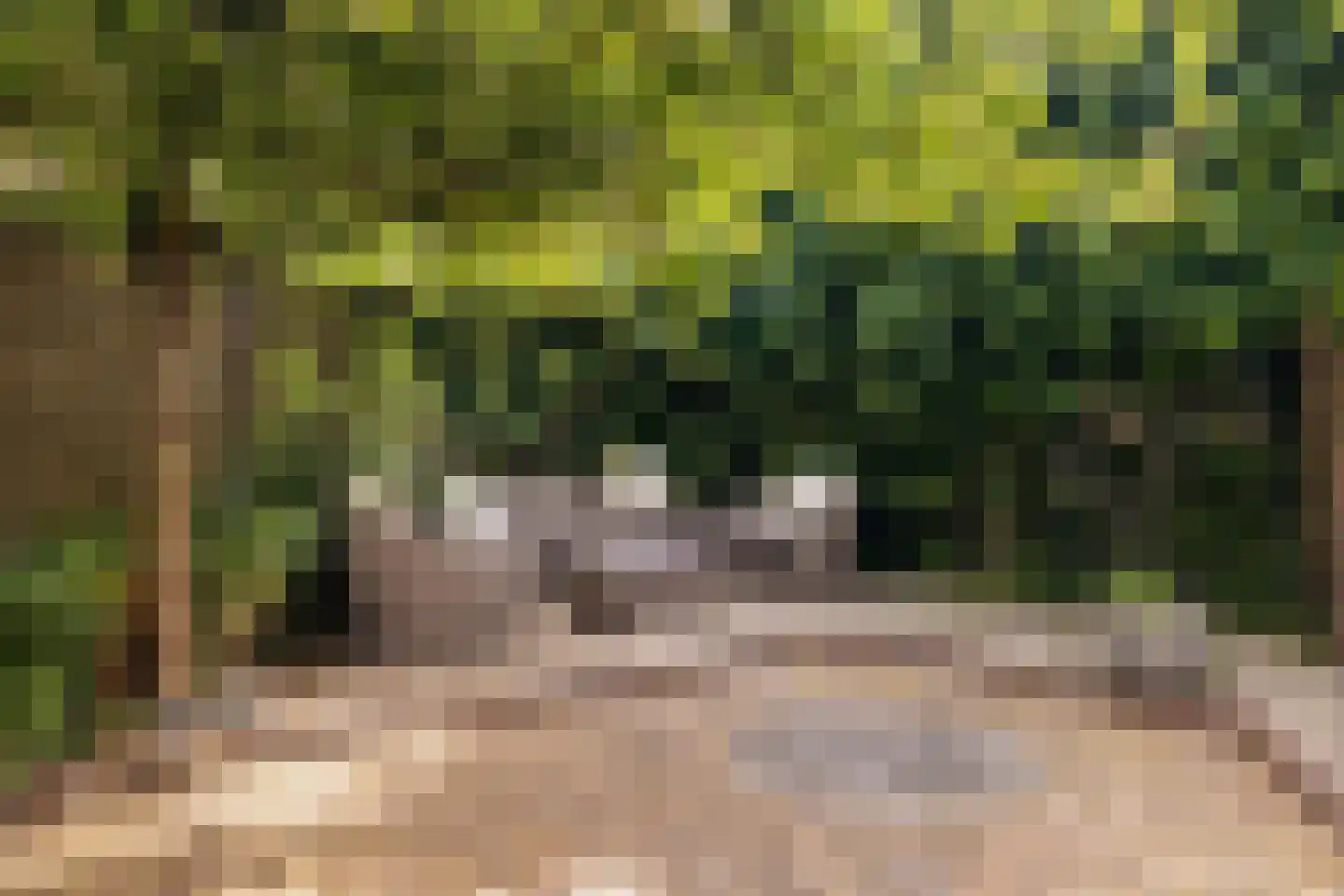 Steenland 27 Ulvenhout thumbnail 44