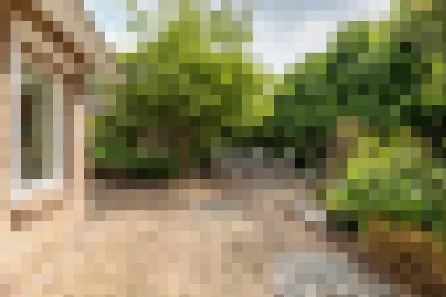Steenland 27 Ulvenhout thumbnail 47