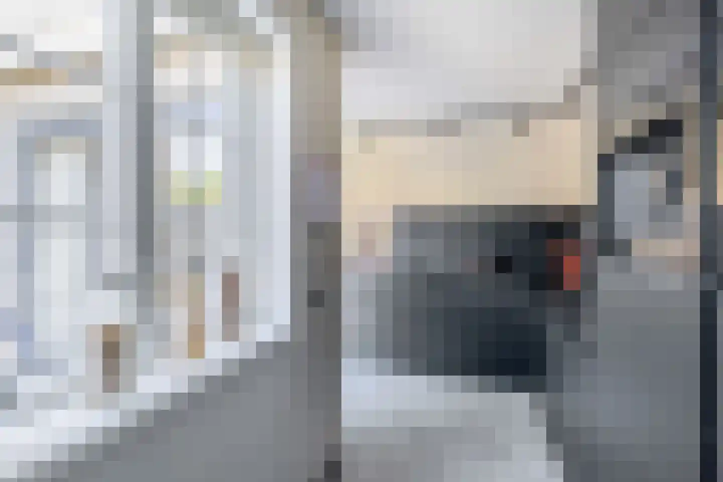 Steenloper 13 Lemmer thumbnail 13
