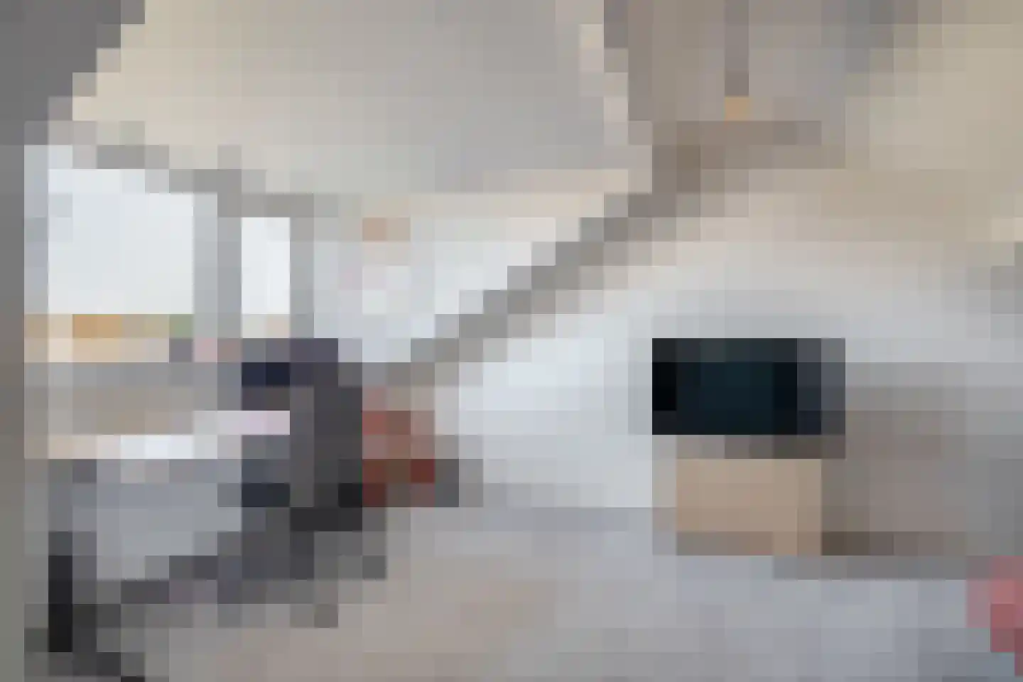 Steenloper 13 Lemmer thumbnail 33