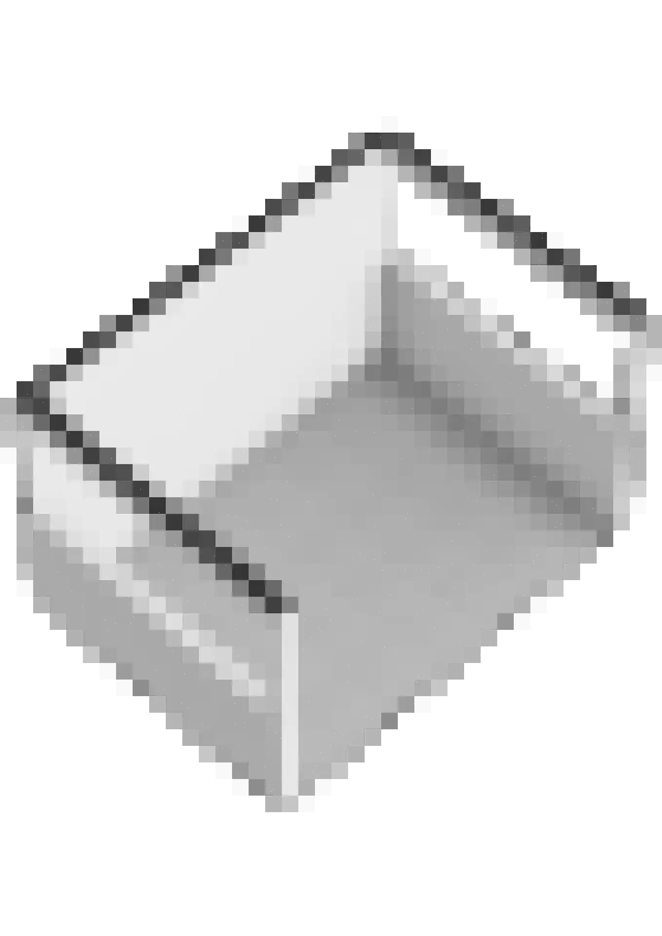 Steenloper 13 Lemmer thumbnail 46