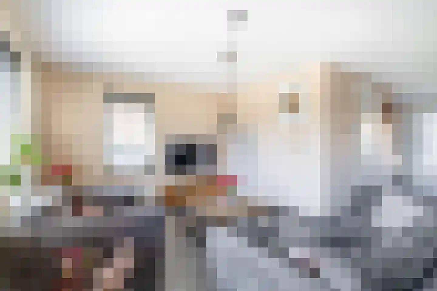 Steenloper 13 Lemmer thumbnail 6