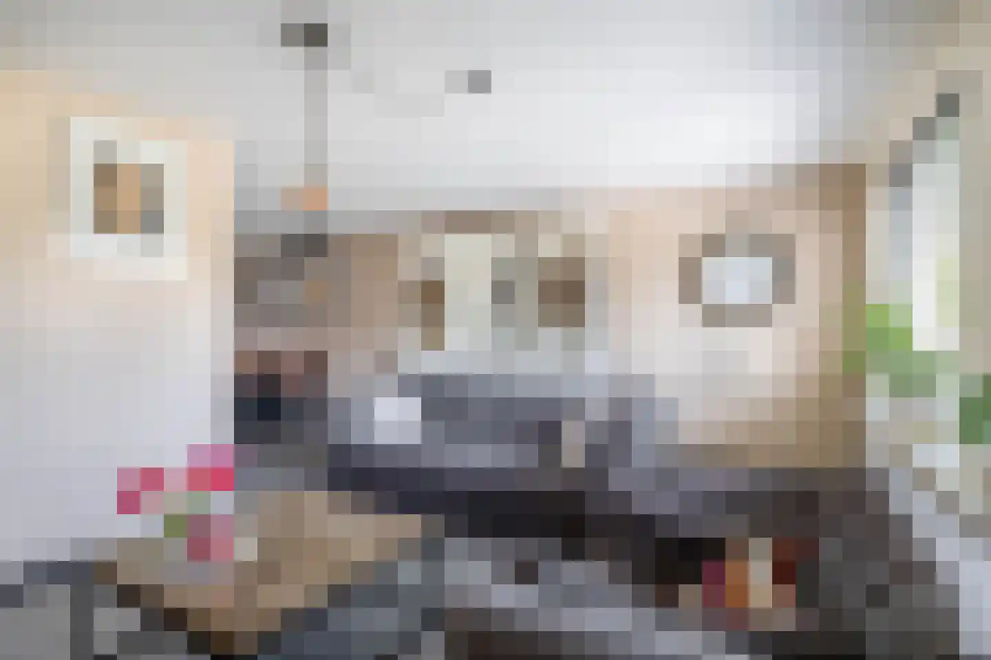 Steenloper 13 Lemmer thumbnail 7