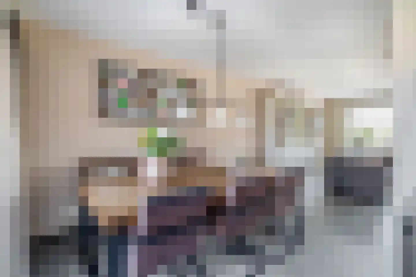 Steenloper 13 Lemmer thumbnail 8