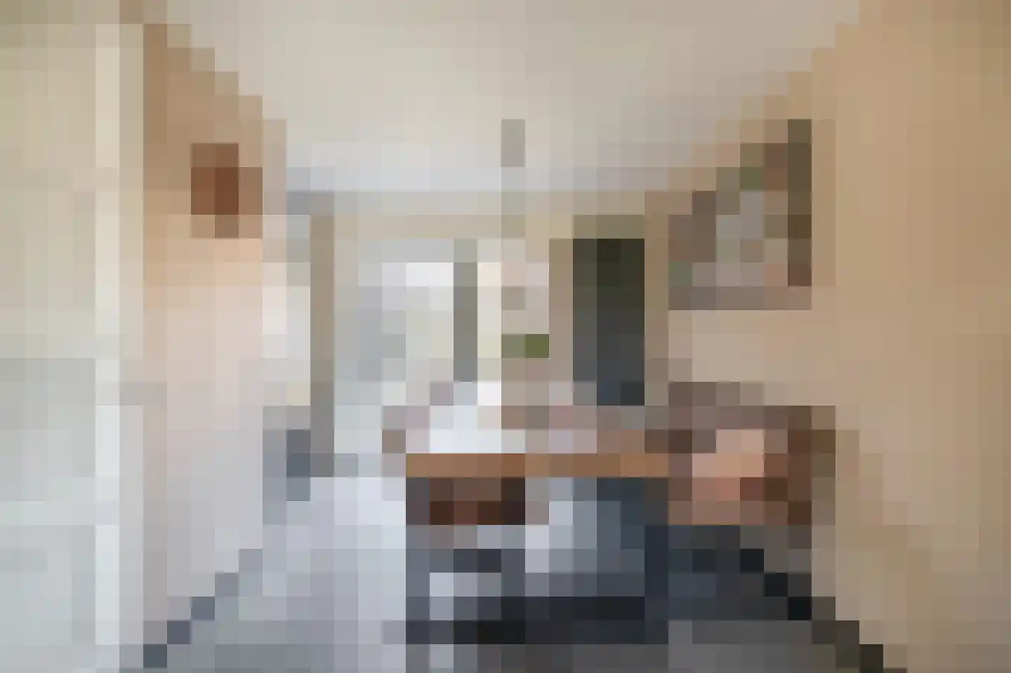 Steenloper 13 Lemmer thumbnail 9
